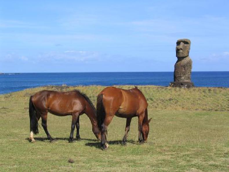 Moai and horses